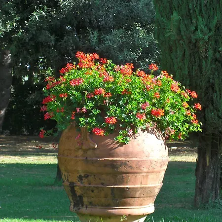Borgo Ai Lecci